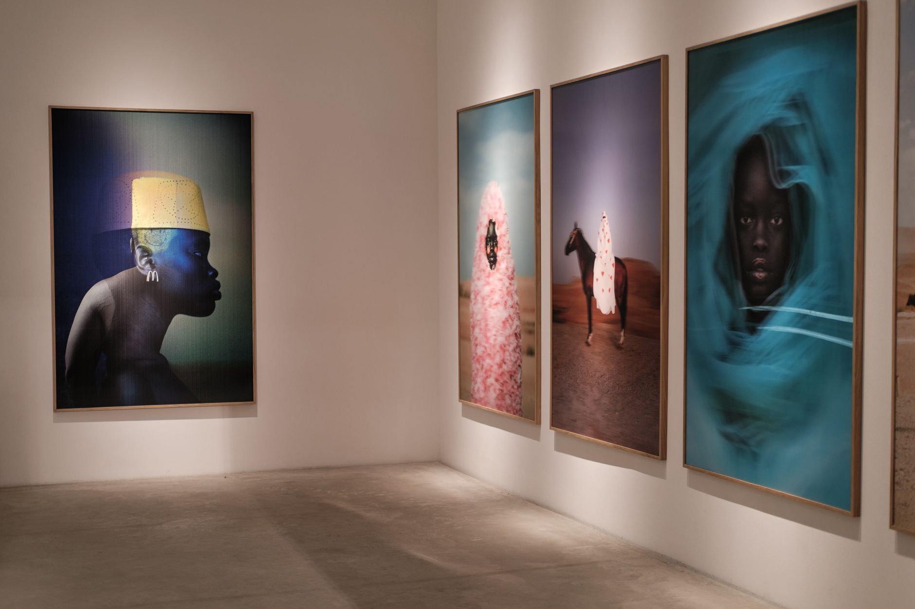 Diverse modern fine art canvas displayed beautifully on a minimalist gallery wall